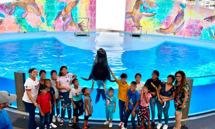 Llevan a niñas y niños de Guaymas Norte al Delfinario