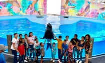 Llevan a niñas y niños de Guaymas Norte al Delfinario