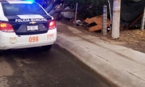 EN LA COSTA DE HERMOSILLO  Muere jornalero aplastado por árbol yucateco