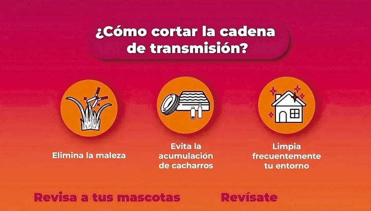Sigamos cuidándonos de la rickettsia: Salud Sonora