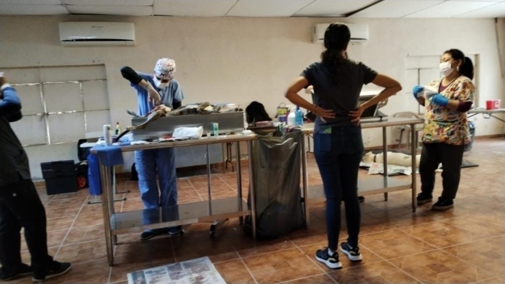 En ejido La Atravesada, en Empalme Realizan jornada de bienestar animal