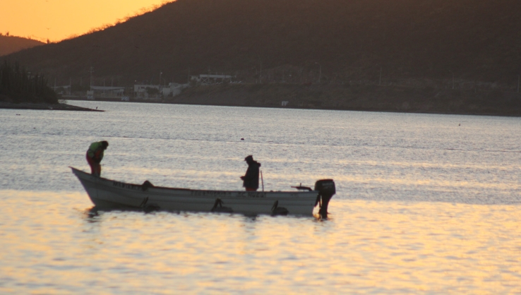 PESCADORES Buscan diversificarse
