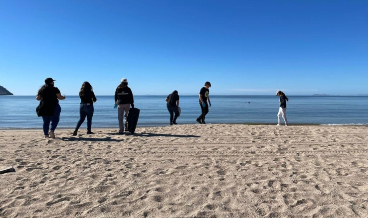 Para preservar comunidades marinas Participa Cobach en investigación internacional