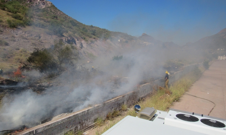    Sofocan incendio forestal