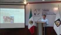 Para aplicar en el primer trimestre Dispone Sonora de 75 mil vacunas antirrábicas