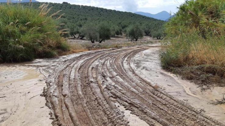 Piden mejorar caminos