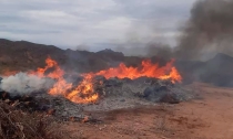 EN SAN CARLOS   Sofocan incendio forestal