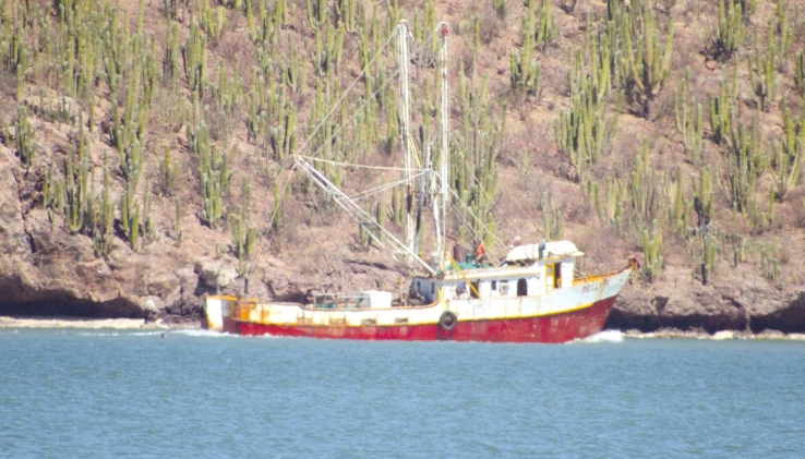 Flota pesquera guaymense se refugia ante “Orlene”