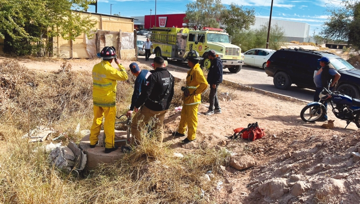 Rescatan a perrita de alcantarilla