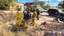Rescatan a perrita de alcantarilla
